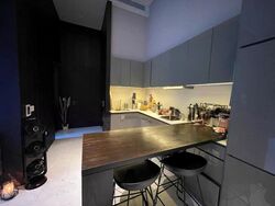 Robin Residences (D10), Condominium #605485821